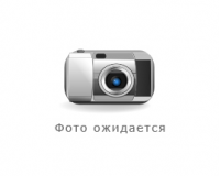 Узбекские гребцы отстаивают право на заветную олимпийскую путевку